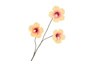 SILK HIBISCUS PEACH 85CM