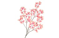 SILK GINKGO PINK/CHAMPAGNE 130CM
