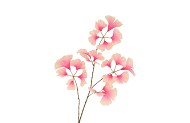 SILK GINKGO PINK/CHAMPAGNE 85CM NM