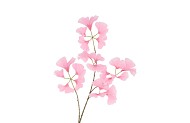 SILK GINKGO PINK 85CM NM