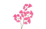 SILK GINKGO BEAUTY 85CM NM