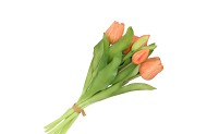 SILK TULIP BOUQUET 7X APRICOT 17X30CM