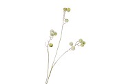 SILK APPLE SNOW GREEN 93CM
