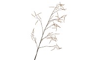 SILK HAZEL BRANCH LIGHT COFFEE 130CM