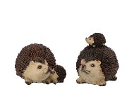 HEDGEHOG POLY WITH CHILD ASS P/1 10X7X8CM NM