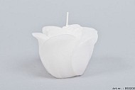 KAARS ROOS WIT 8X7CM