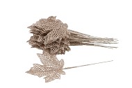 PICK MAPLE LEAF CHAMPAGNE 9X9X21CM SET OF 25