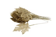 PICK MAPLE LEAF GOLD 9X9X21CM SET OF 25