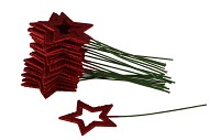 PICK STAR GLITTER 10X10CM ON A STICK RED L24CM SET OF 24