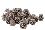 NATURE POMMES DE PIN WHITEWASH AUTRICHE SACHET DE 10 KG