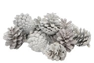 NATURE POMMES DE PIN CIRE BLANC PAR 12 PIÈCES