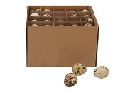 EGGS WACHTEL NATUREL 2.5X3.5CM PRO 60 STÜCK