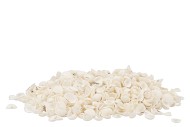 MUSCHEL WEIß CHIPPI PRO 1 KILO