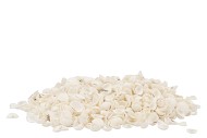 SCHELP WHITE CHIPPI SMAL PER 1 KG NM