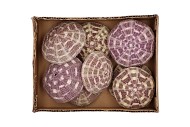 URCHIN ALFONSO 8X8CM PER 9 STUKS