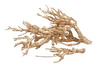 NATURE CURRY BUSH GOLD A 500 GRAM