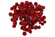 DRY PLATANE ROOD P/BUNDEL