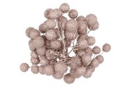 DRY PLATANE CHAMPAGNE P/BUNDEL