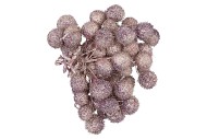 DRY PLATANE CHAMPAGNE GLITTER PER BUNDEL