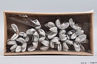 KARTOONS OP DRAAD ZILVER 10CM P/20