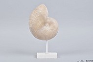 FOSSIEL OP VOET ''SCHELP'' NATUREL 15X9X26CM
