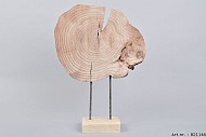 ORNAMENT HOLZ SCHEIBE 36X10X50CM