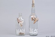SCHELP GLASFLES+DECORATIE 8X28CM+9X5X20CM ASSORTI PER STUK