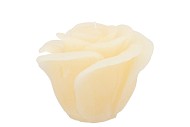 CANDLE ROOS IVORY 11X9CM NM