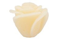 CANDLE ROOS IVORY 14X12CM NM