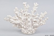 KORAAL WIT 26X7X19CM