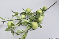 SILK APFEL GRÜN XL L100CM