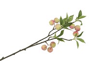 APPELTAK L70CM GROEN/ROOD