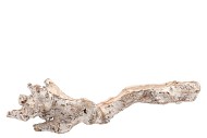 NATURE GRAPES TRUNK HALLOWED FROSTED/WHITE 40-50CM