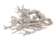 NATURE CURRY BUSH SILVER A 500 GRAM