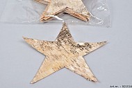 BIRCH BARK STAR 24CM SET OF 10