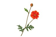 SILK PAPAVER TAK ORANJE L64CM