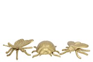 DECO INSECT ALUMINIUM GOUD 13X10X4CM ASSORTI PER STUK