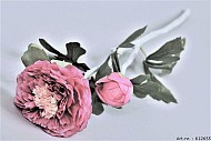 SILK RANUNKEL ZWEIG 2 BLUMEN FUCHSIA 55CM