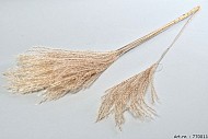 DRY PAMPAS GRASS MINI L90CM SET OF 10