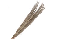 DRY BROOM GRASS WHITE W. 100CM P/100 GRAM