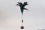 FEATHER ON FOOT PETROL PER 1