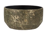 DUBAI OLIVE GOLD COUPE 25X12CM