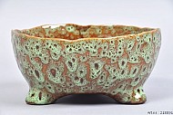 ST TROPEZ DONKER GROEN SCHAAL 21X9CM