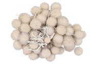 DRY PLATANE WIT PER BUNDEL