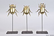 DECO INSECT OP VOET GOUD 10X7X21CM ASS P/1