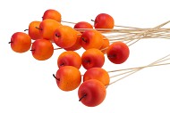 BIJSTEKER APPEL ORANJE 6+50CM STOK P/25