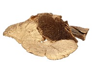 NATUUR SPONGE MUSHROOM GOUD P/250 GRAM