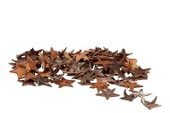 NATUUR STER SCHORS BERK 4CM PER 130