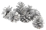 NATUUR OOSTENRIJKERS ZILVER IN NETJE P/20