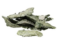 NATUUR SPONGE MUSHROOM APPELGROEN P/250 GRAM